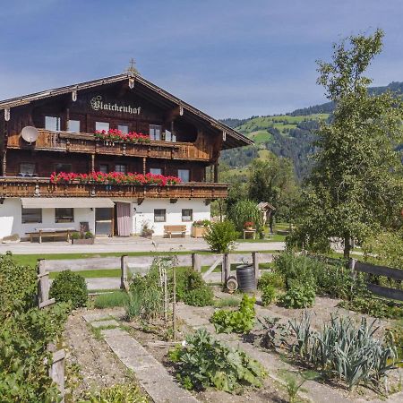 Anna Maria Apartment Hopfgarten im Brixental Exterior photo